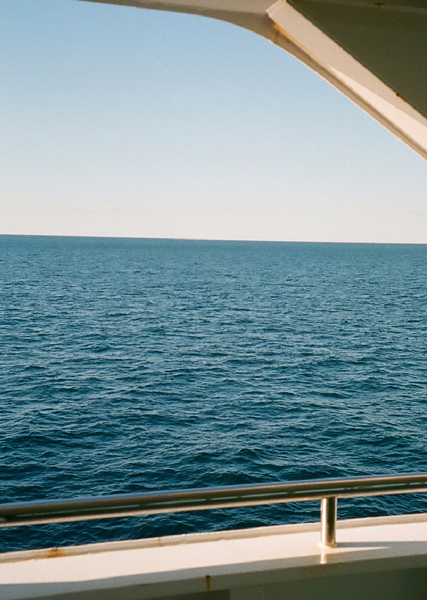 海