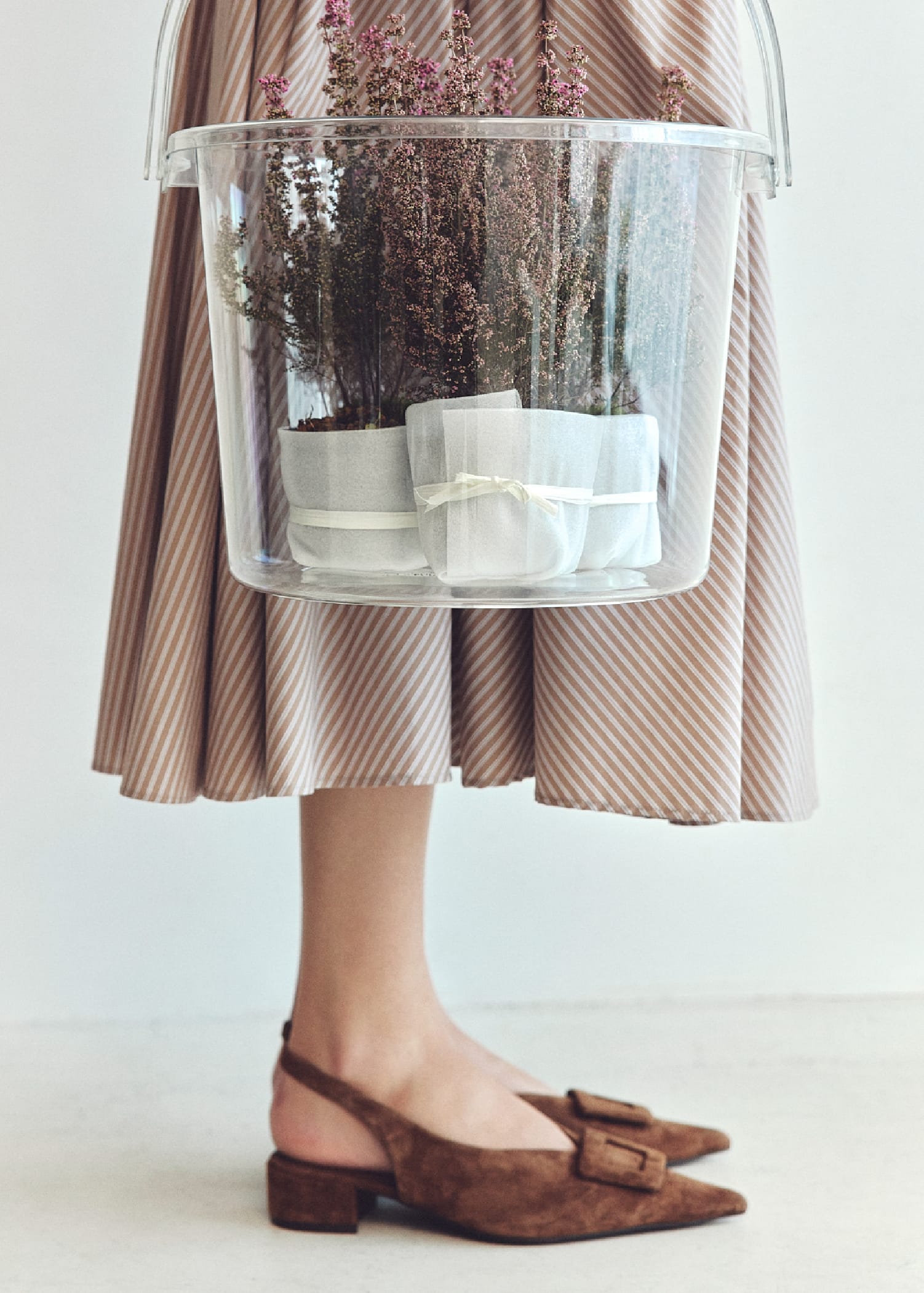 植木の入ったバケツを持った女性の写真