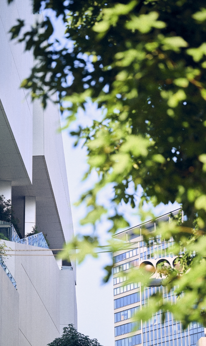 section05の背景01