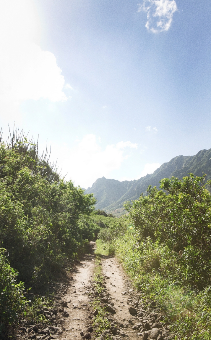 section05の背景02