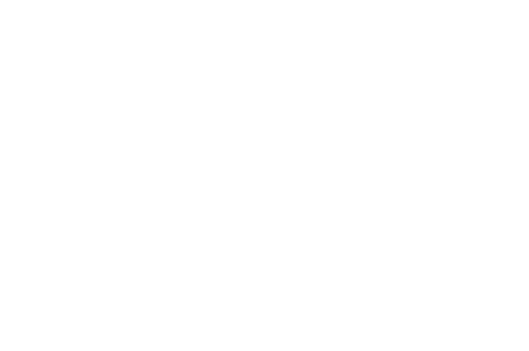 Special Holiday Bag Campaign
